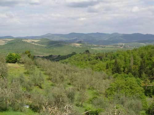 Bed and Breakfast Borgo Carpineto Vagliagli Exterior foto