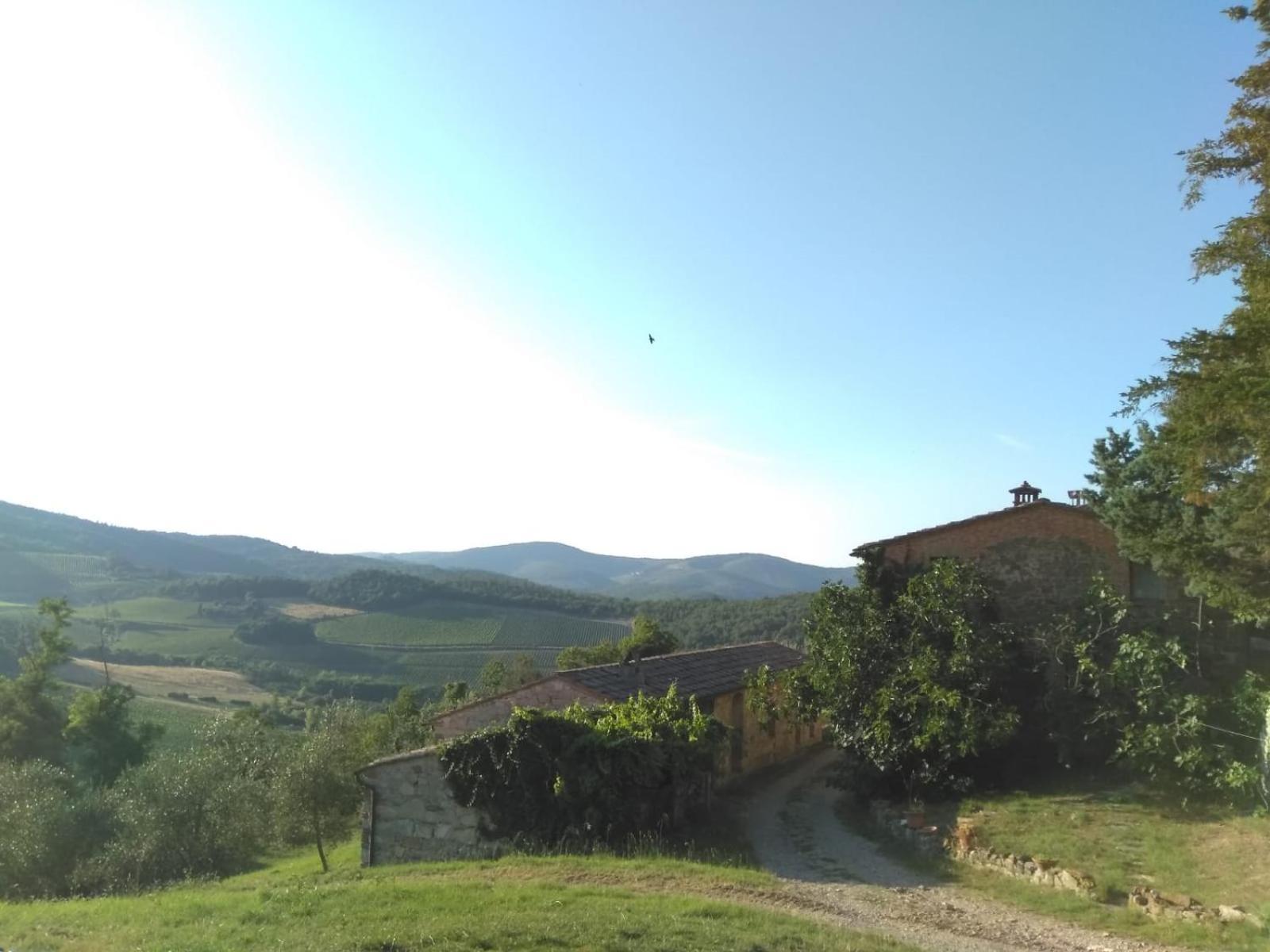 Bed and Breakfast Borgo Carpineto Vagliagli Exterior foto