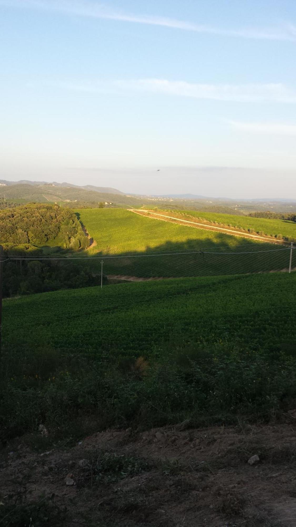 Bed and Breakfast Borgo Carpineto Vagliagli Exterior foto