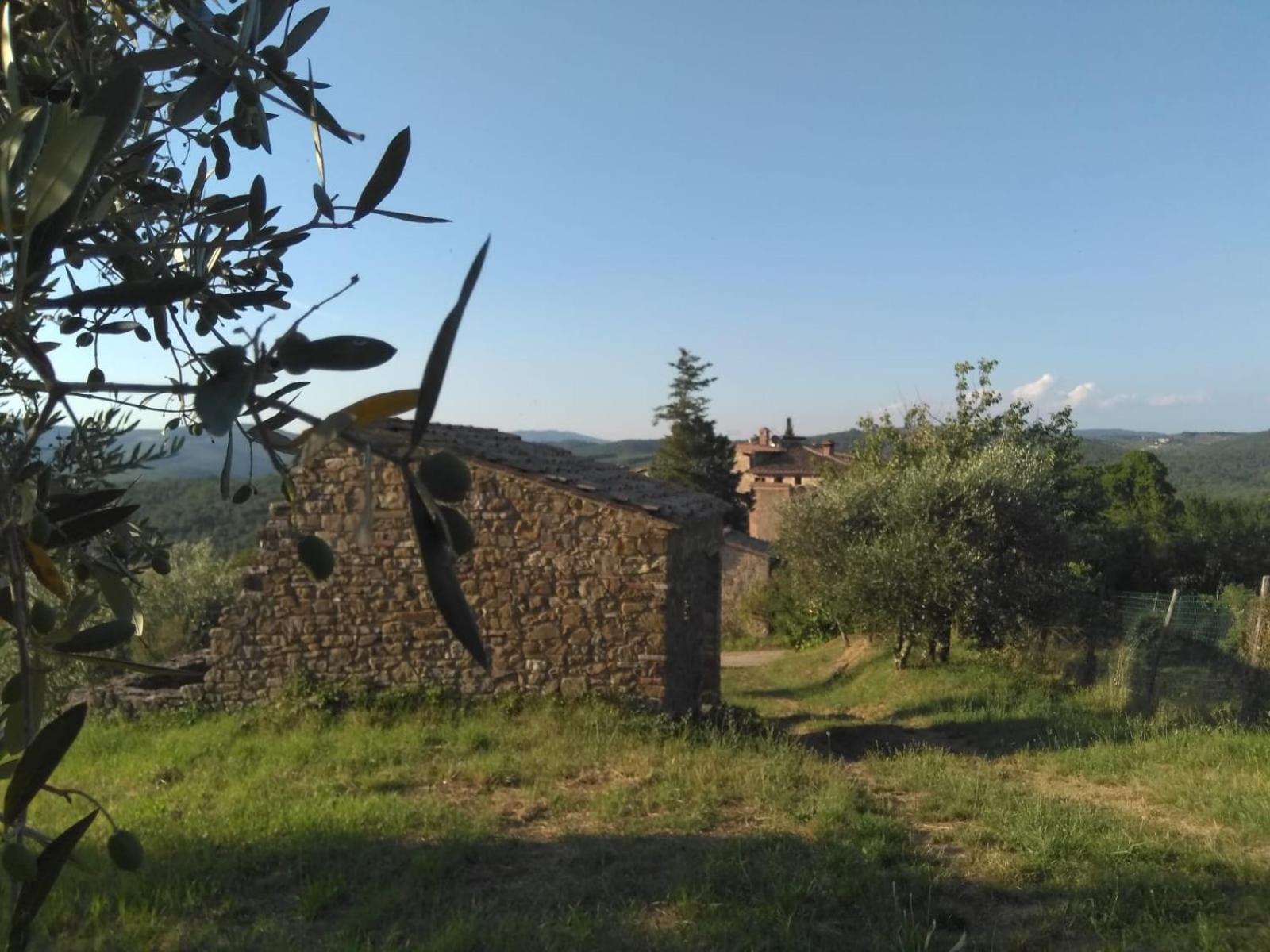 Bed and Breakfast Borgo Carpineto Vagliagli Exterior foto